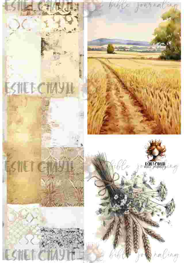 #BIBLE JOURNALING PRINTABLE - GRAIN OF WHEAT AFRIKAANS