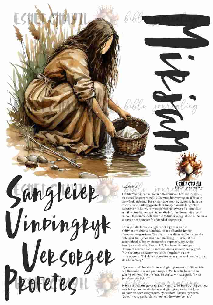 #0 VROUE VAN DIE BYBEL VOLLEDIGE STEL  - AFRIKAANS - WOMAN OF THE BIBLE